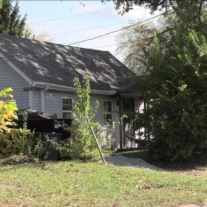 Four Lima men charged after police uncover dog fighting ring; seven dogs rescued